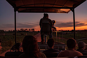 Focagem Noturna na Fazenda San Francisco Pantanal